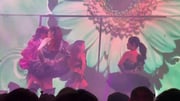 post #24256