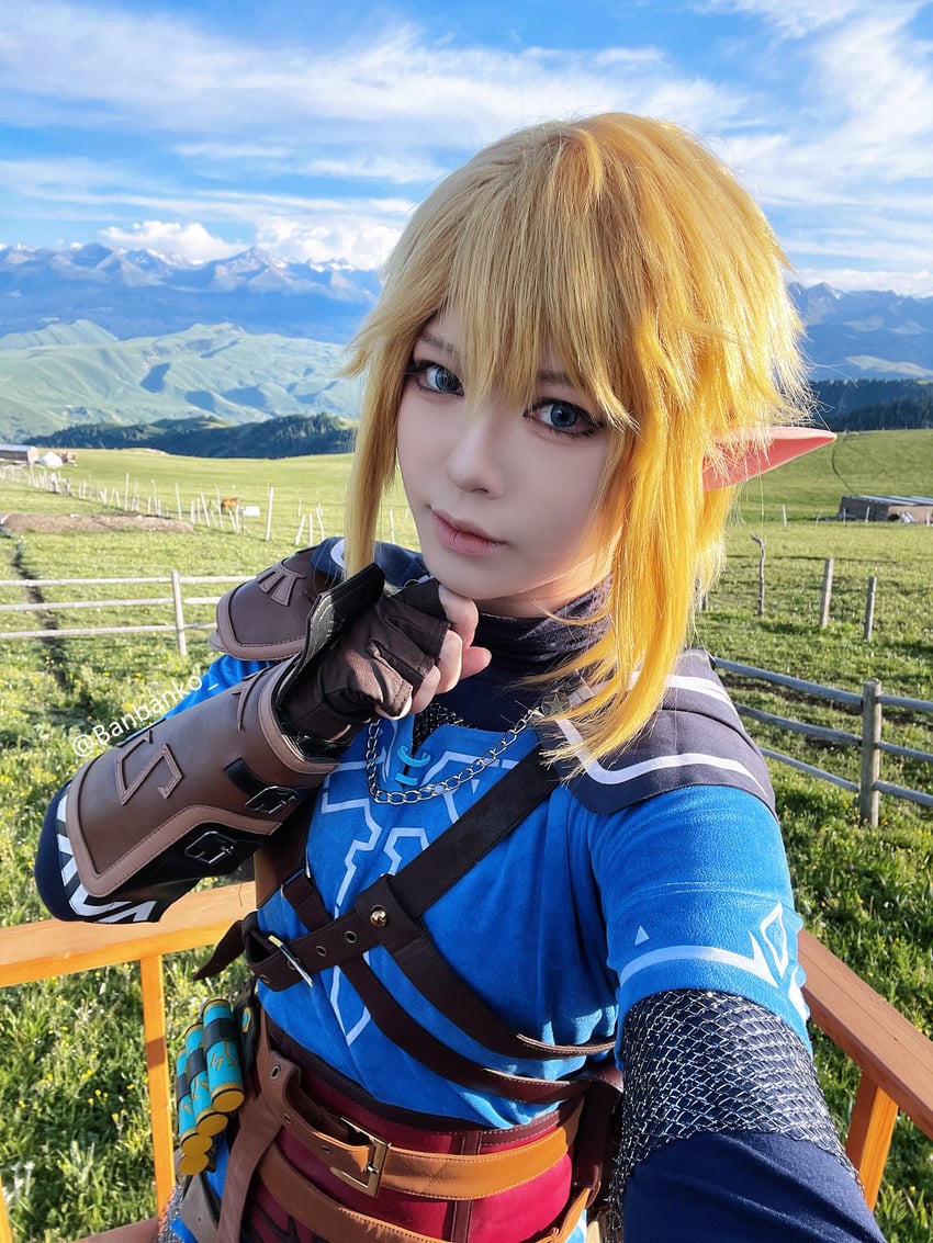 link (the legend of zelda and 1 more) by banbanko