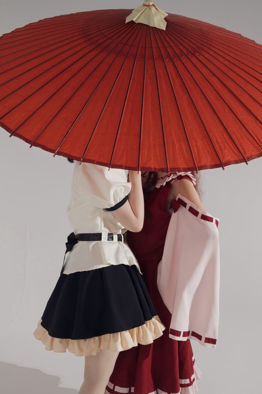 hakurei reimu and shameimaru aya (touhou) by shio_koworo