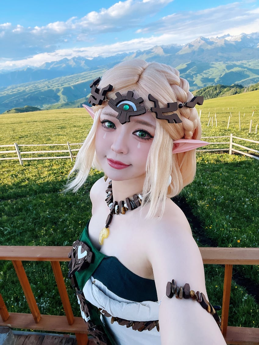 princess zelda (the legend of zelda and 1 more) by banbanko