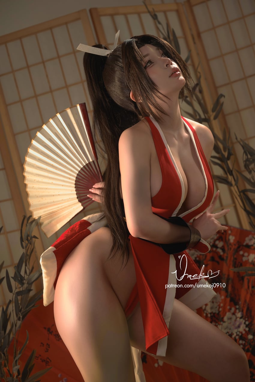 shiranui mai (the king of fighters and 1 more) by umeko_j