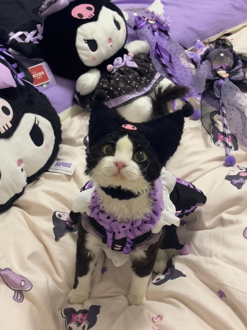 kuromi (sanrio and 1 more) by yuhui_chi_bu_bao