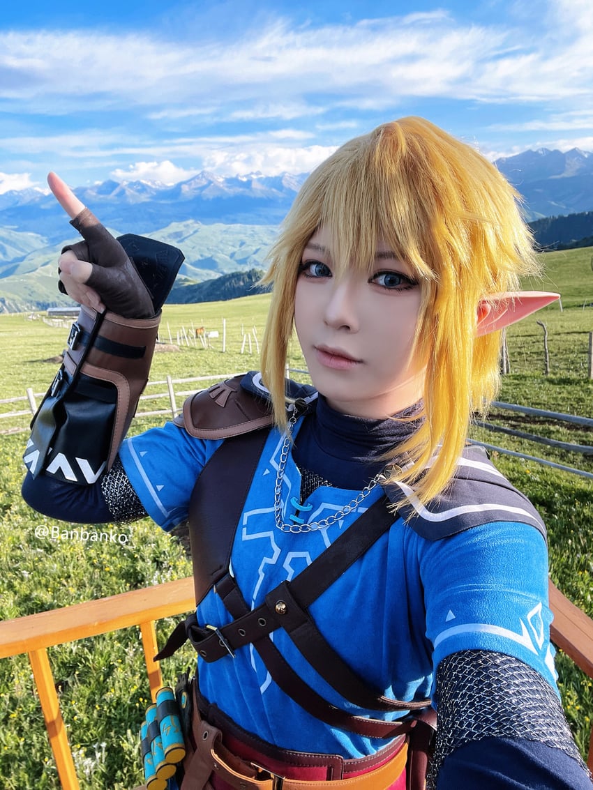 link (the legend of zelda and 1 more) by banbanko