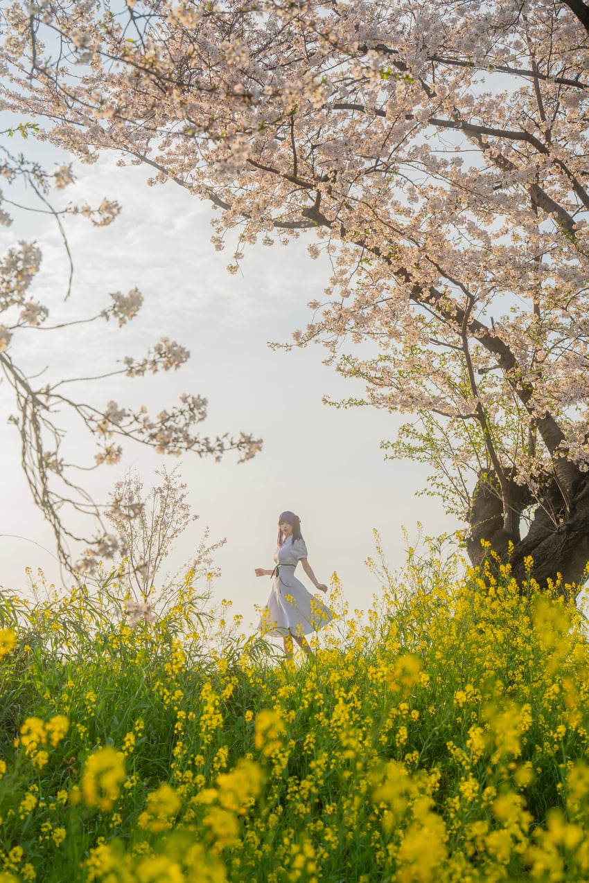 matou sakura (fate and 2 more) by noshinoxxx