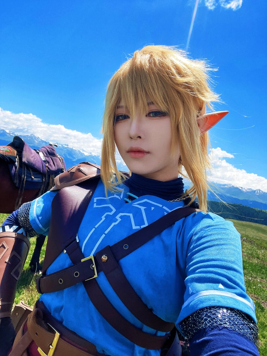 link (the legend of zelda and 1 more) by banbanko