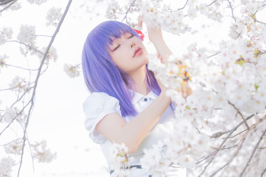 matou sakura (fate and 2 more) by noshinoxxx