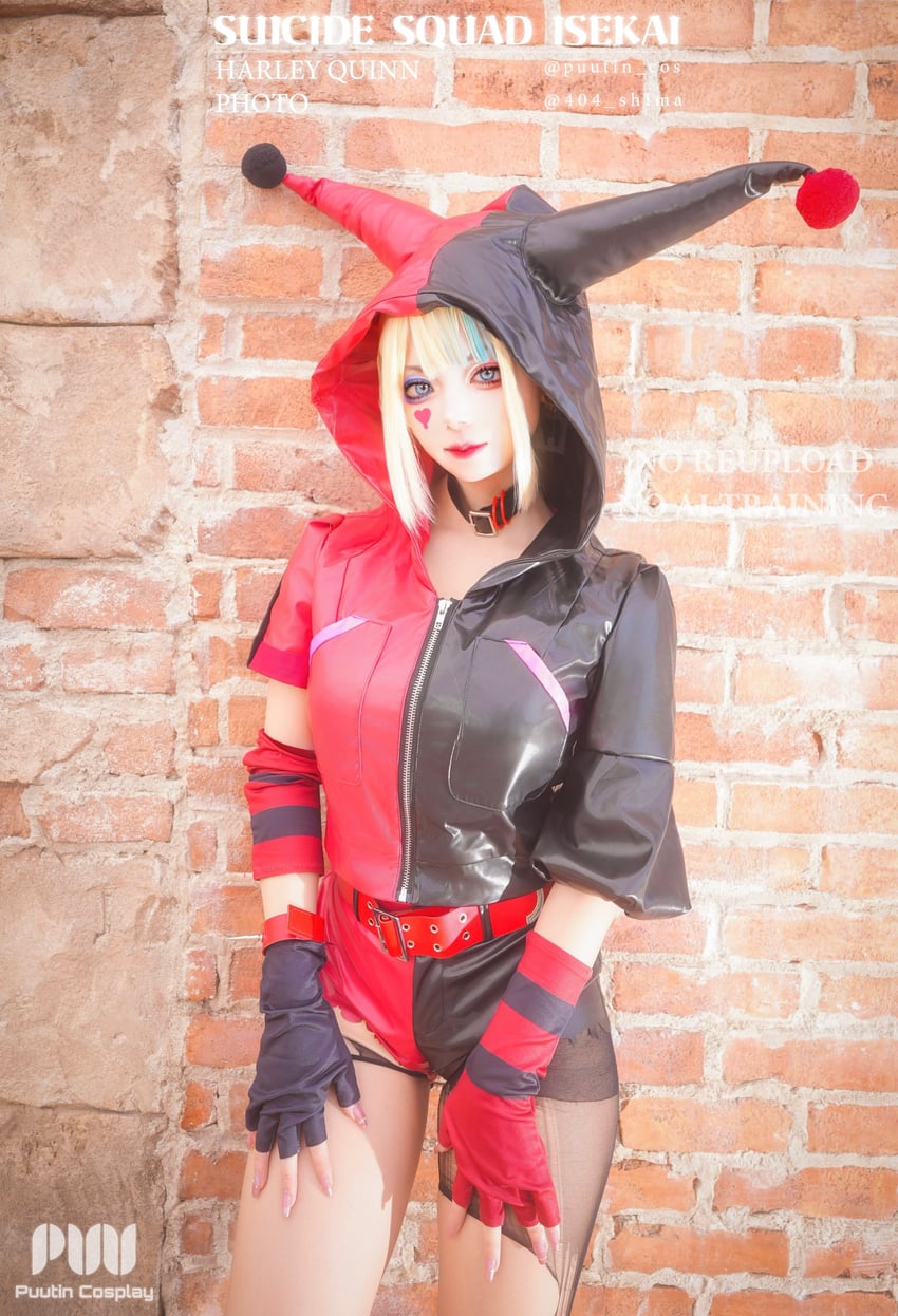 harley quinn (dc comics and 1 more) by puutin_cos